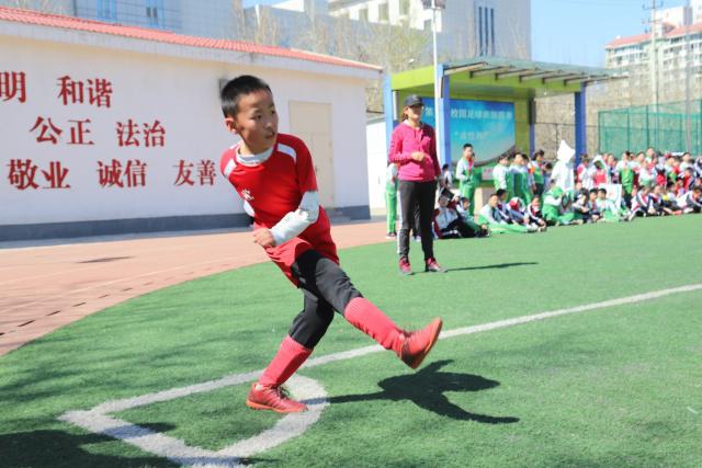 杨健：文班拿球队友有时不太会打 责任心可降低些 别老想生吞对手